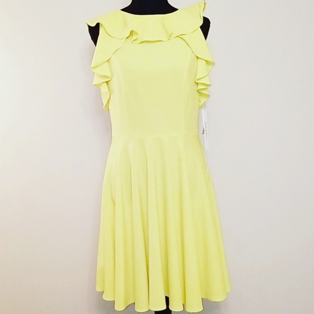 NWT Nicole Miller Dress